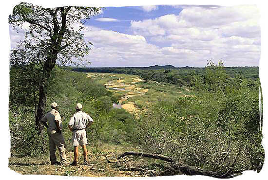 South African Ranger