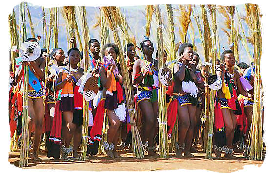 Swazi maidens performing the annual Reed Dance - Black People in South Africa, Black Population in South Africa
