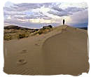 The dry, arid and yet dramatic landscape of the Kalahari in South Africa