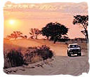 Self-drive safari in the Kruger National Park, South Africa