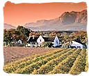 Stunning Winelands landscape on the Western Cape province, South Africa