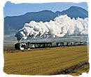Great steam train travel experience for tourists in South Africa