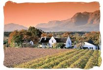 Framed by the majestic Groot and Klein Drakenstein and Franschhoek mountains, the Paarl Winelands are just to the north of Stellenbosch