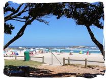 Camps Bay a place with glorious white sandy beaches fringed by palm trees, with a trendy nightlife