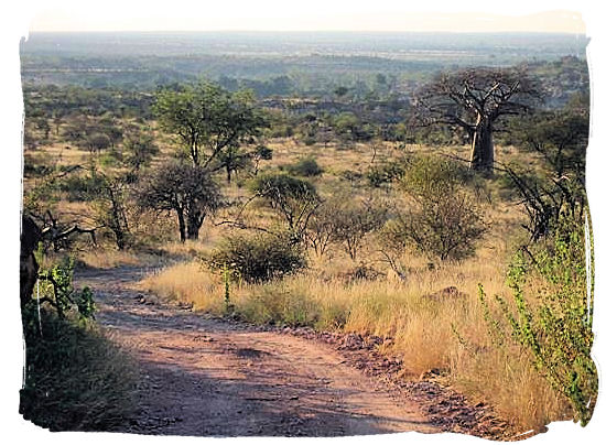 Four-wheel drive adventure trail in the Park