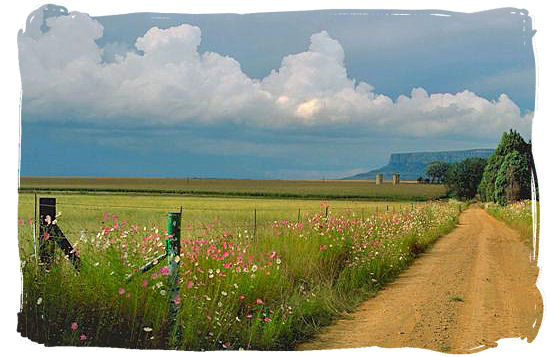 Afternoon thunderstorm brewing in summer