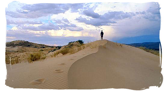 Dunes in the semi desert bushmanland of the Northern Cape Province