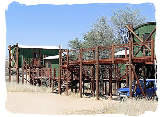 Wooden walkways between the cabins - Urikaruus Wilderness Camp, Kgalagadi Transfrontier Park