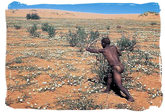 A descendent of the San people, original inhabitants of South Africa, hunting the ancient traditional way - Kgalagadi Transfrontier National Park in the Kalahari