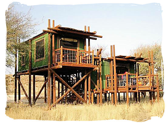Accommodation at the camp consisting of stilted cabins - Urikaruus Wilderness Camp, Kgalagadi Transfrontier Park