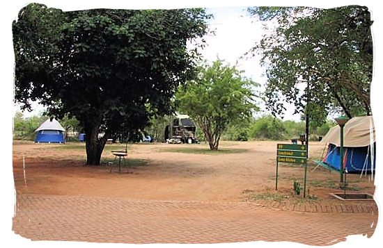 Camping site at Crocodile Bridge rest camp - Kruger National Park Accommodation