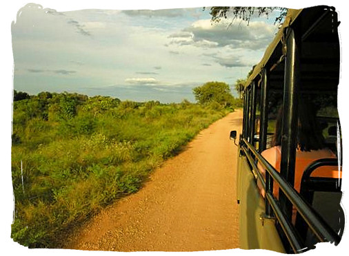 Evening game drive - Skukuza Safari, Travel and Accommodation