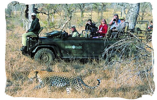 Leopard encounter during game drive