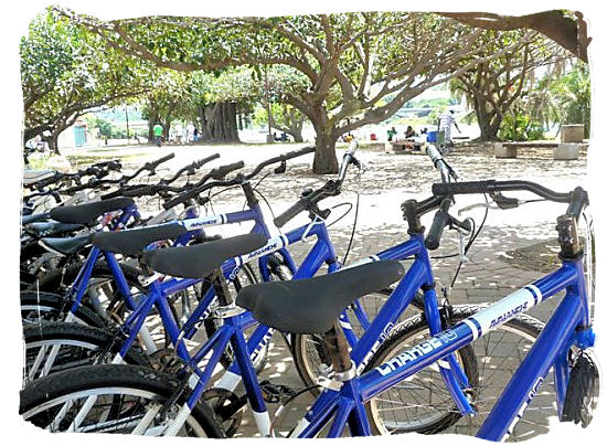 Bicycles waiting to be hired to go sightseeing