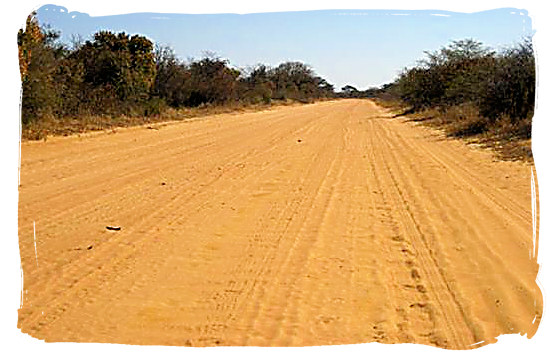 Typical dirt road in the Kgalagadi Transfrontier Park in the Kalahari, South Africa