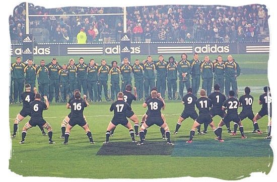 The All Blacks of New Zealand performing the “Haka” in front of the Springbok team before the start of a match in 2006 - Springbok rugby in South Africa and the South Africa rugby team