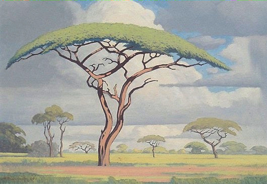 South African Art Art Galleries in South Africa South African