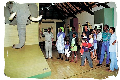 Visitors at the Letaba Elephant Hall - Letaba main rest camp, Kruger National Park, South Africa