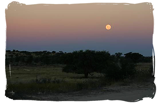 Moon over the Kgalagadi landscape - Kieliekrankie Wilderness Camp, Kgalagadi Transfrontier Park