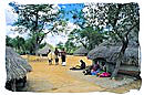 Museum scene of a traditional Tsonga village