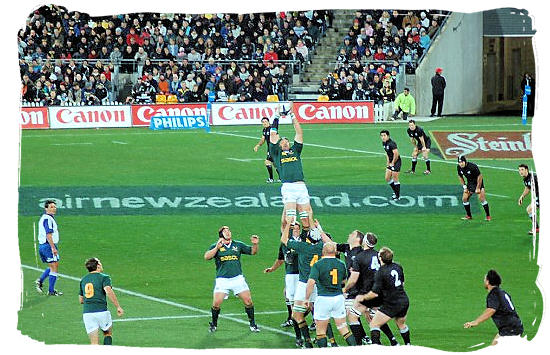 The South African springboks winning line-out ball against the All Blacks - South African Rugby, South Africa Rugby Team, Early Days