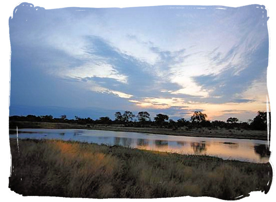 Sunset game drive near a dam