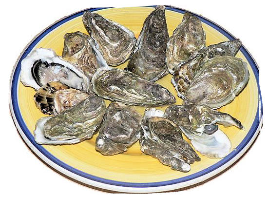 Oysters - South African food adventure, South Africa food