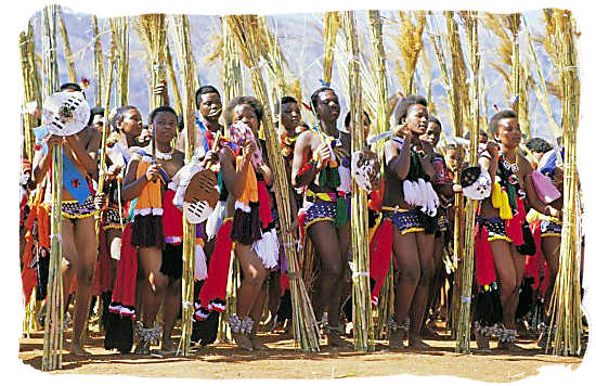 The traditional Reed Dance performed every year by Swazi maidens before the King of Swaziland - South African dance