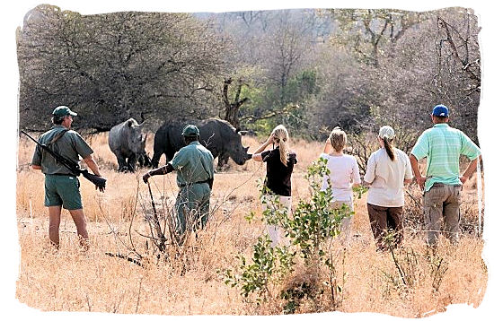 Eye to eye with a pair of White Rhino's and on foot