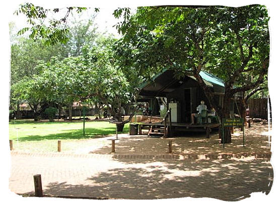 Budget type safari tent - Crocodile Bridge Rest Camp in the Kruger National Park