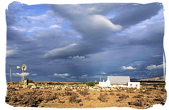 Sheep farm in the Land of great thirst with one of those sudden and heavy thunder showers brewing