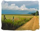 Gravel road in the Orange Free State