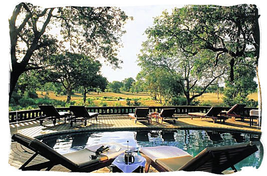 Pool deck of one of the lodges at Sabi Sabi private game reserve.