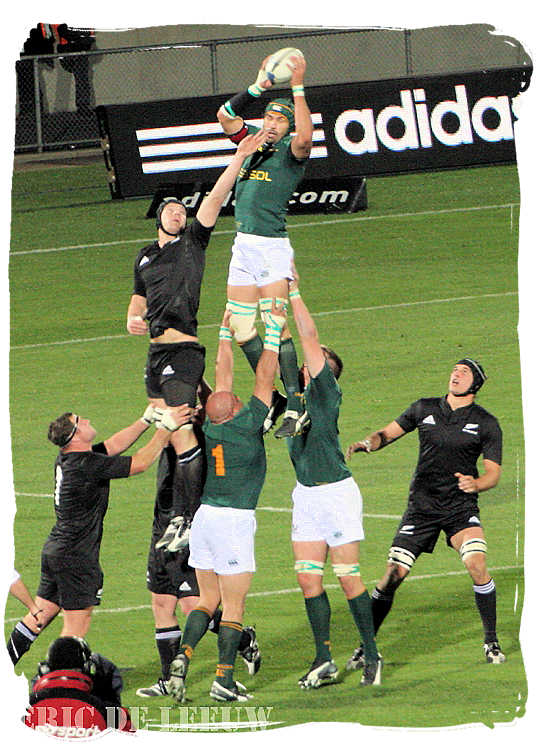The Springboks winning the ball in a line out against the All Blacks of New Zealand - Springbok rugby in South Africa and the South Africa rugby team