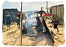 Squatter camp in South Africa