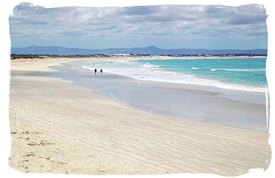 Experience the solitude on the beautiful Struisbaai beach