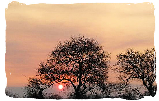 Sunset at the camp - Crocodile Bridge Rest Camp in the Kruger National Park