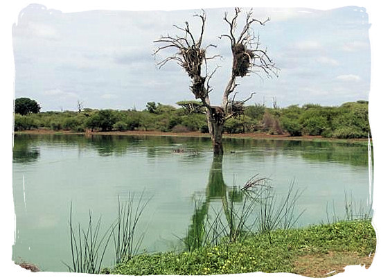 The Sunset dam, about 1km from the camp's entrance gate - Lower Sabie Rest Camp in the Kruger National Park, South Africa