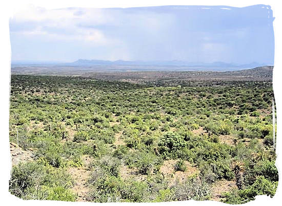 Great Karoo landscape and a much needed shower of rain in the distance - The Great Karoo Climate, Karoo National Park South Africa