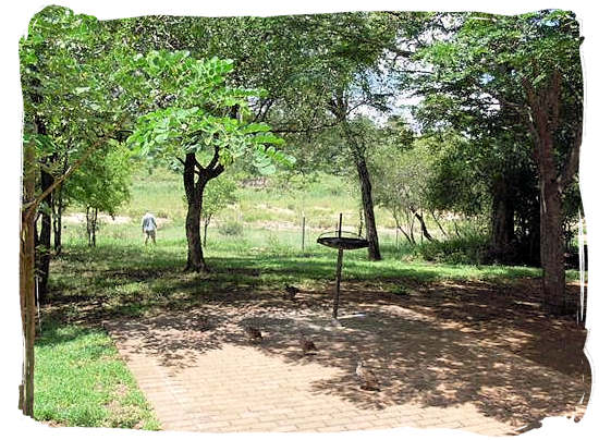 View from one of the cottages at Biyamiti bushveld camp towards the Mbiyamiti river bed