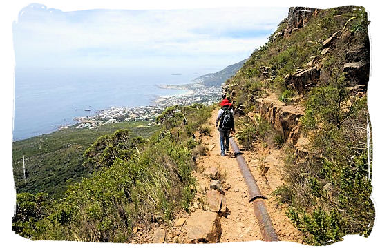 Walking the fairly level Pipe Track hiking trail - Activity Attractions in Cape Town South Africa and the Cape Peninsula