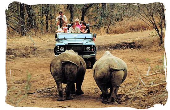 Enjoy wonderfull safari experiences in the Kruger National park