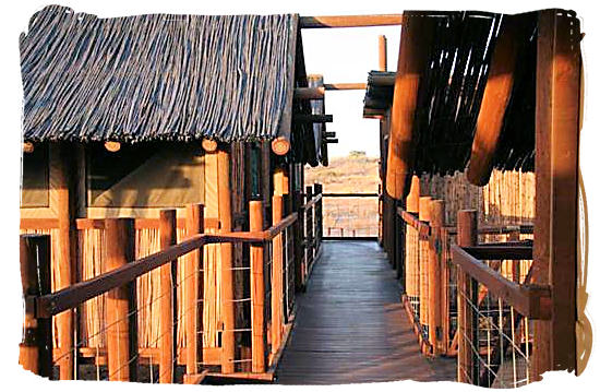 Wooden walkway connecting the accommodation units at the camp - Bitterpan Wilderness Camp, Kgalagadi Transfrontier Park