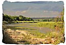 Kruger National Park landscape