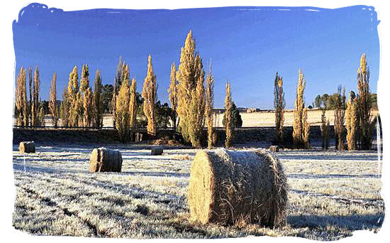 Early morning frost in winter