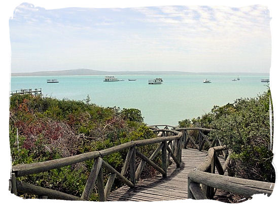 Wooden walkway down to the Lagoon's beach - West Coast National Park Activities, South Africa National Parks