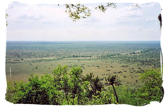 Landscape in the Kruger National Park viewed from Nkumbe viewing site south east of Tshokwane