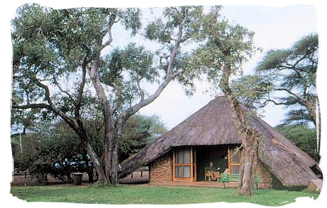 Accommodation unit at Roodewal Bush Lodge