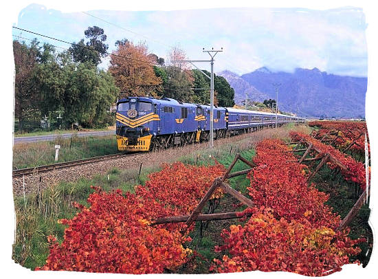 The luxurious Blue Train which runs between Cape Town and Pretoria - Cape Town Maps, Cape Town Places and Cape Town Guide