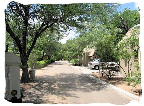 Camp road with bungalows on the right in Orpen Camp in the Kruger National Park, South Africa